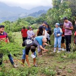 RIC students in the Knuckles forests, conducting an environmental study under  the supervision of Dr. Tricia Wevill from Deakin