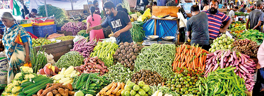 Consumers in soup over high and varying Vege prices