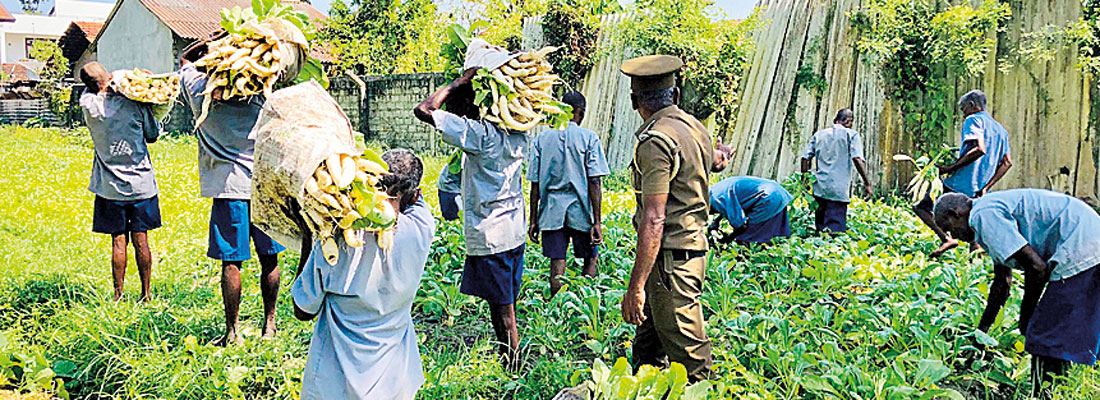Prison inmates bring in 253 million rupee revenue