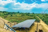 E B Creasy Solar’s  solar-powered irrigation project in Nikaweratiya
