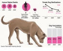 Lack of reliable data hinders efforts to reduce rabies in dogs and humans