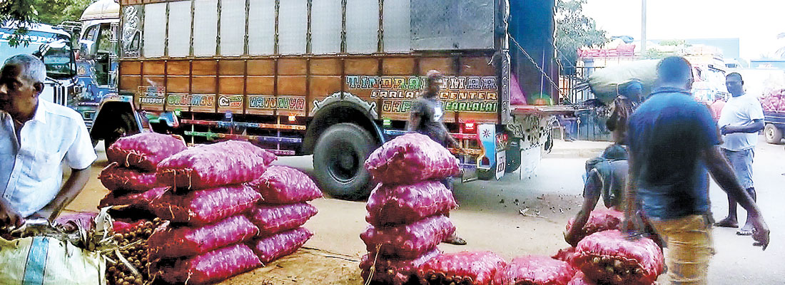 Influx of red onions from Jaffna brings good tidings; prices come down