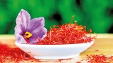 Saffron: Unveiling cosmetic secrets of Red Gold