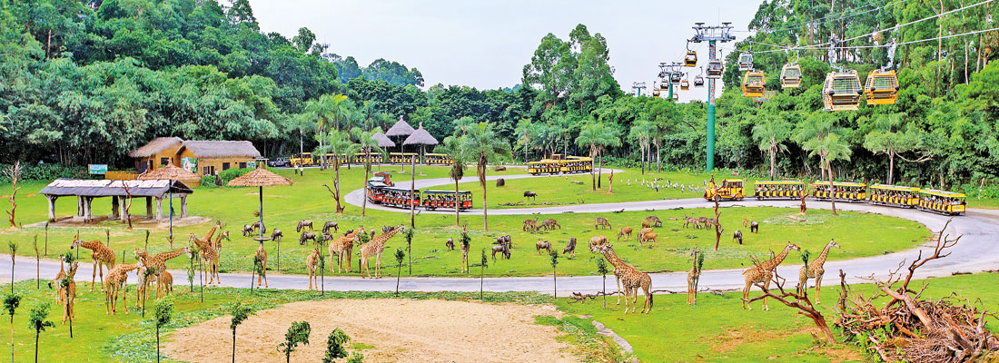 Lessons on safari parks from China