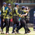 Cricket-