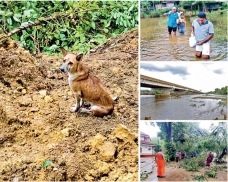 Aftermath of the flood-hit nation