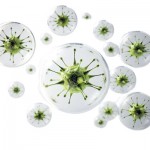 microscopic-germs-pathogens_20240618133430