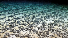India’s deep-sea diplomacy: Navigating geopolitical currents in pursuit of oceanic resources