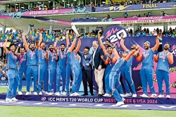 India win T20 World Cup after thrilling battle with South Africa