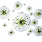 microscopic-germs-pathogens_20240618133430_-6-