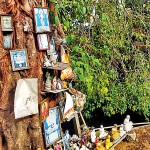 Narahenpita Religion's resting place