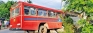 Several accidents during the week, 7 deaths and many injured