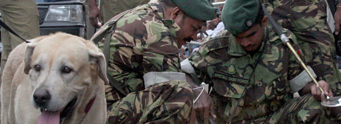 Drug war resumes with more vigour; STF and armed forces called in
