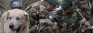 Drug war resumes with more vigour; STF and armed forces called in