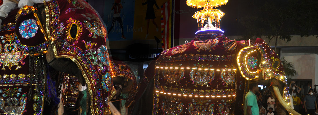 Sri Lanka to state its case on elephants in processions