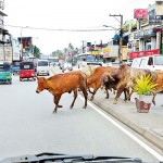 9Y1A7619-Welisara-Priyanka-Samaraweera