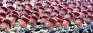 Most suited national security policy for Sri Lanka