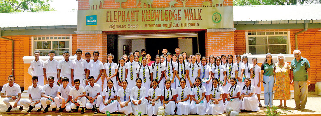 Documenting the life and times of Sinharaja’s unique elephant brothers