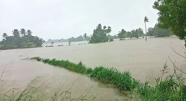 Ampara