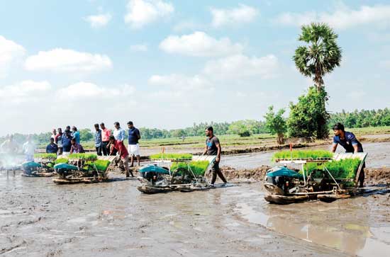 COMBANK-Agri-Modernisation-Village-programme_06122024_B05_CMY