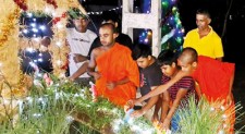 Harmonious holiday