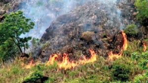 Ella fire fuels concerns over harm to environment and tourism | Print ...