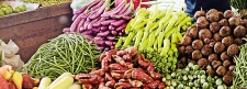 The urgent need for a robust food safety policy for Lanka