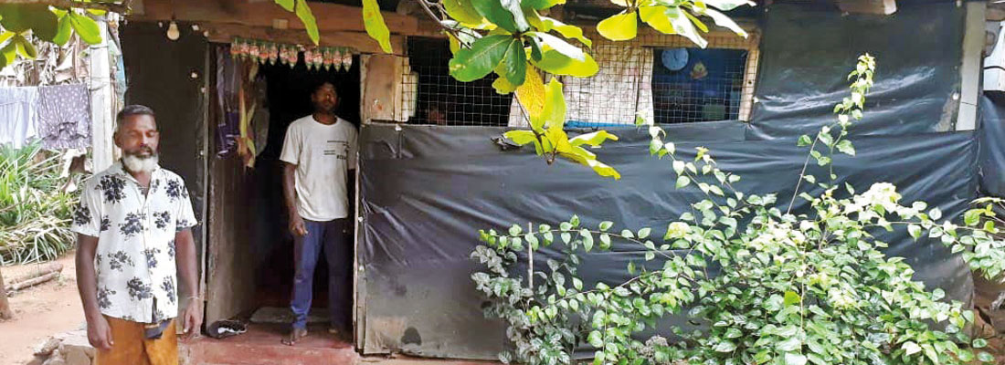 Thirteen-year curse for nine destitute families in Bulathkohupitiya