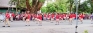Percussion bands herald Nuwara Eliya spring festival