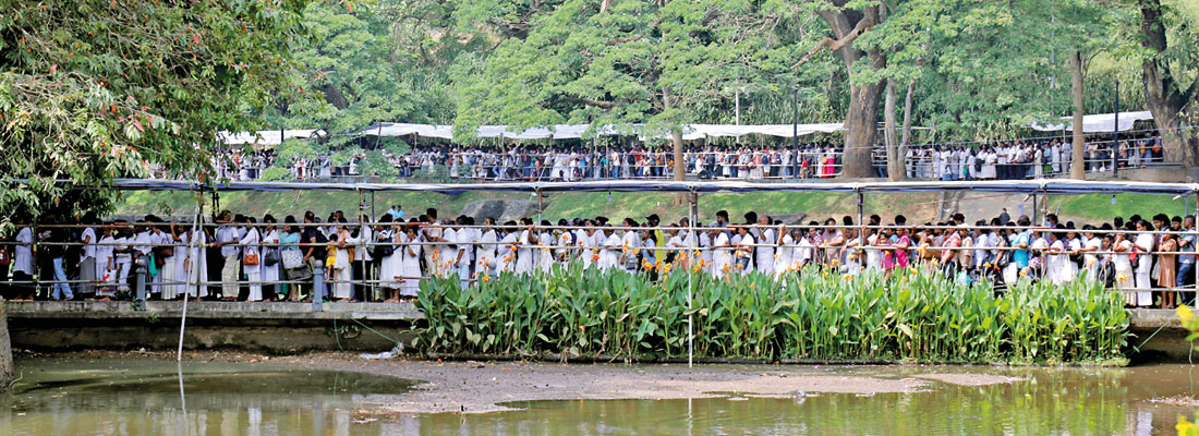 Sacred tooth relic exposition begins ceremonially; two million devotees expected