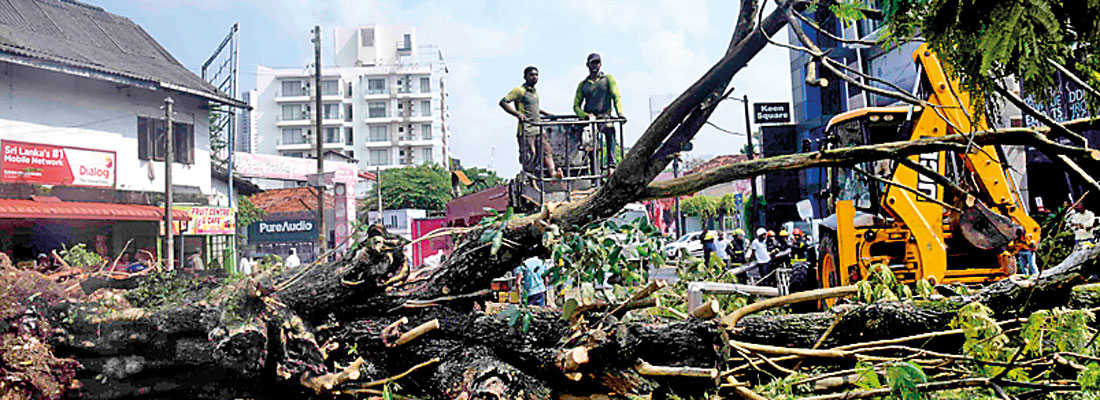 Gloomy skies and rain despite warm spells, Met. Department says
