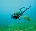 Ocean conservation with bar reef cleanup Ocean conservation with bar reef cleanup