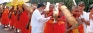 The light of Vesak falls on Nuwara Eliya