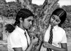 ‘Gehenu Lamai’ resurrected with French support to be premiered at Cannes Fest 2025 ‘Gehenu Lamai’ resurrected with French support to be premiered at Cannes Fest 2025