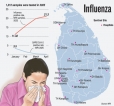 All about the flu bug doing the rounds and simple precautions to ward it off All about the flu bug doing the rounds and simple precautions to ward it off