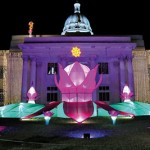 Lotuses bloom in Colombo's Town Hall lawn