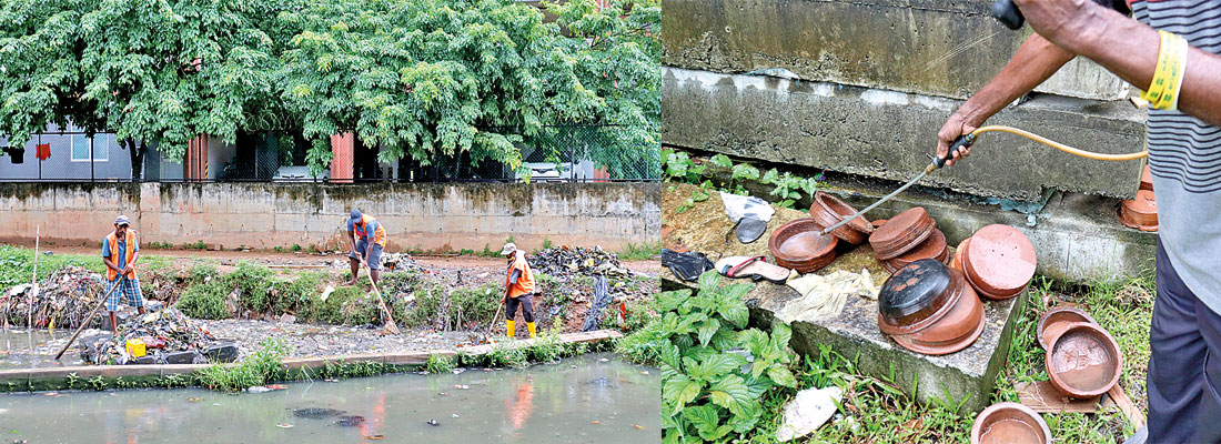 Dengue and chikungunya on the rise but no official figure on latter