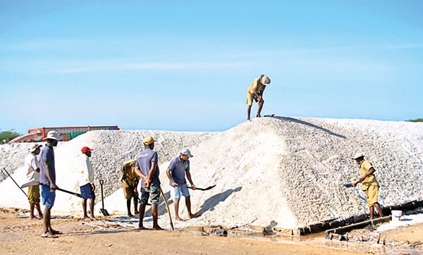 salt-(4)