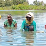 Clam collectors, assisted by their children and grandchildren, go about their daily work to earn a meagre living