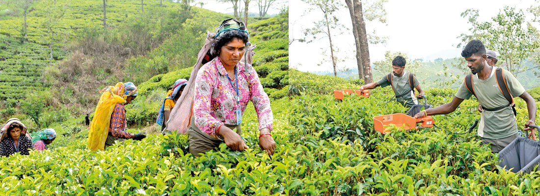 Women remain constrained by persistent pay gulf