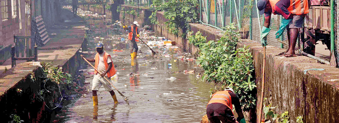 Health Ministry to ‘name and shame’ schools with dengue mosquito breeding sites