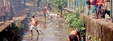 Health Ministry to ‘name and shame’ schools with dengue mosquito breeding sites Health Ministry to ‘name and shame’ schools with dengue mosquito breeding sites