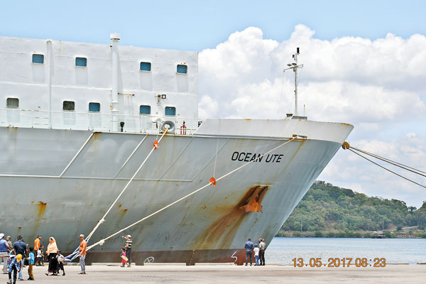 Cattle-ship