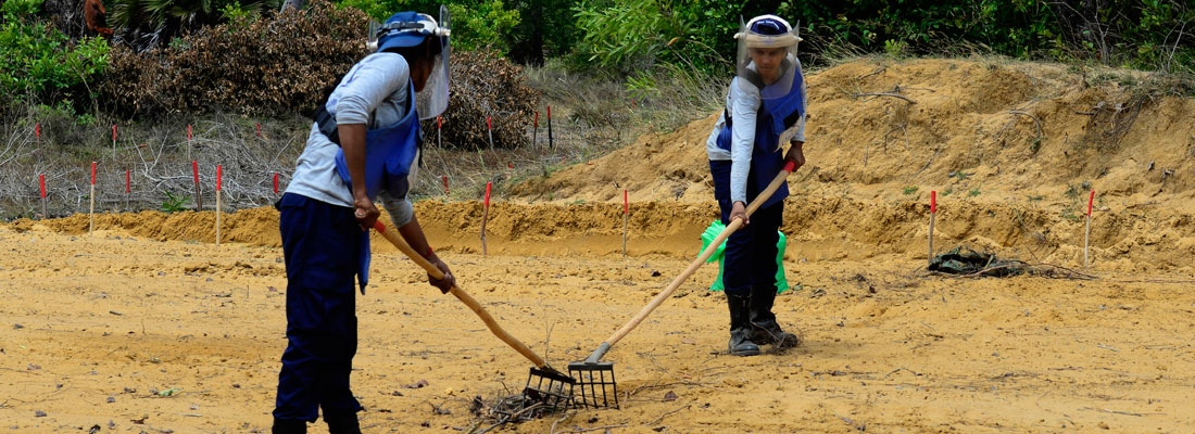 Recovering a mined patch of land to breathe free once more