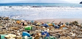 Every urban dweller adds 28 kilos to Sri Lanka’s plastic waste pile every year Every urban dweller adds 28 kilos to Sri Lanka’s plastic waste pile every year