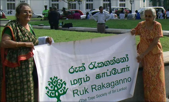 image-(1)_P2