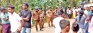 No sign of underworld killings ending soon