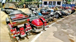 Harley Davidsons found in Bird Park hideout