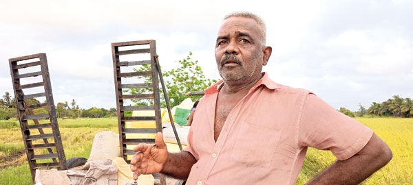 D.M.M.Karunarathna