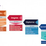Career Ladder